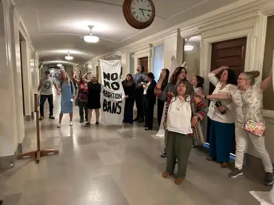 Missouri Supreme Court has opened the door to abortions being halted again